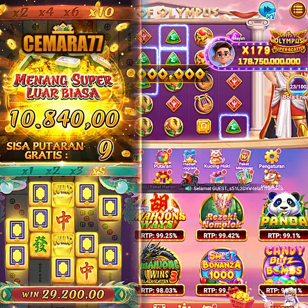 cemara77 APK Resmi Unduh
